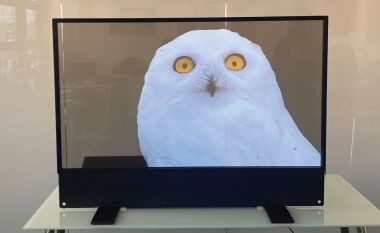 अनुकूलित अल्ट्रा पतला OLED पारदर्शी डिस्प्ले